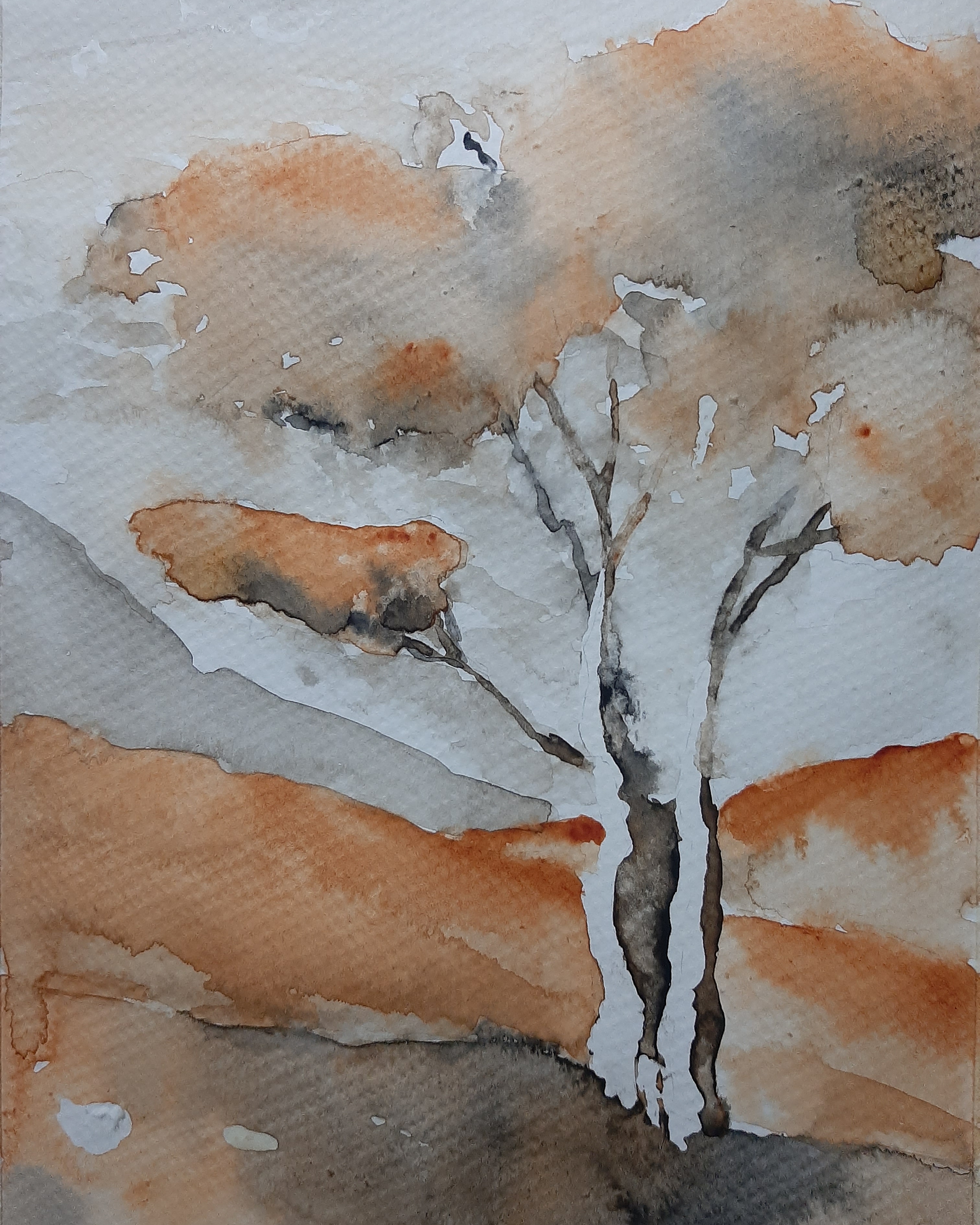 IMG 20210509 224558 860